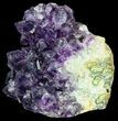 Wide, Dark Purple Amethyst Cluster - Large Crystals #57204-1